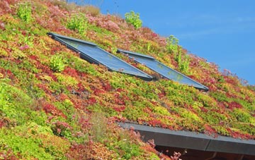 Ardoch living roof systems